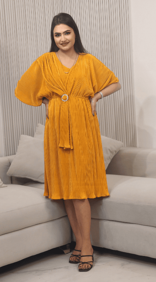 Solid Wrinkle Design Fit & Flare Dress